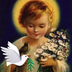 Meet your Posher, Carlos